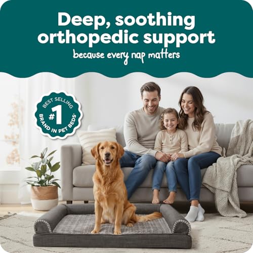 Orthopedic Dog Bed for Large Dogs w (Jumbo / Charcoal)