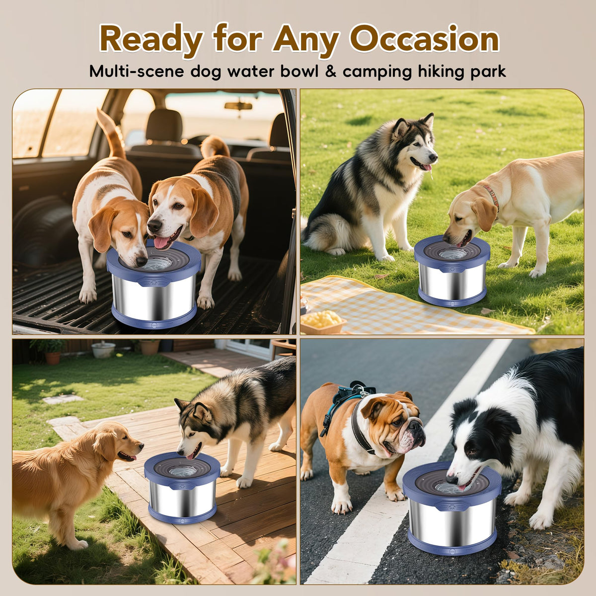 8L Dog Water Bowl No Spill Stainless Steel for Slow Drinking Blue (8L / Blue)