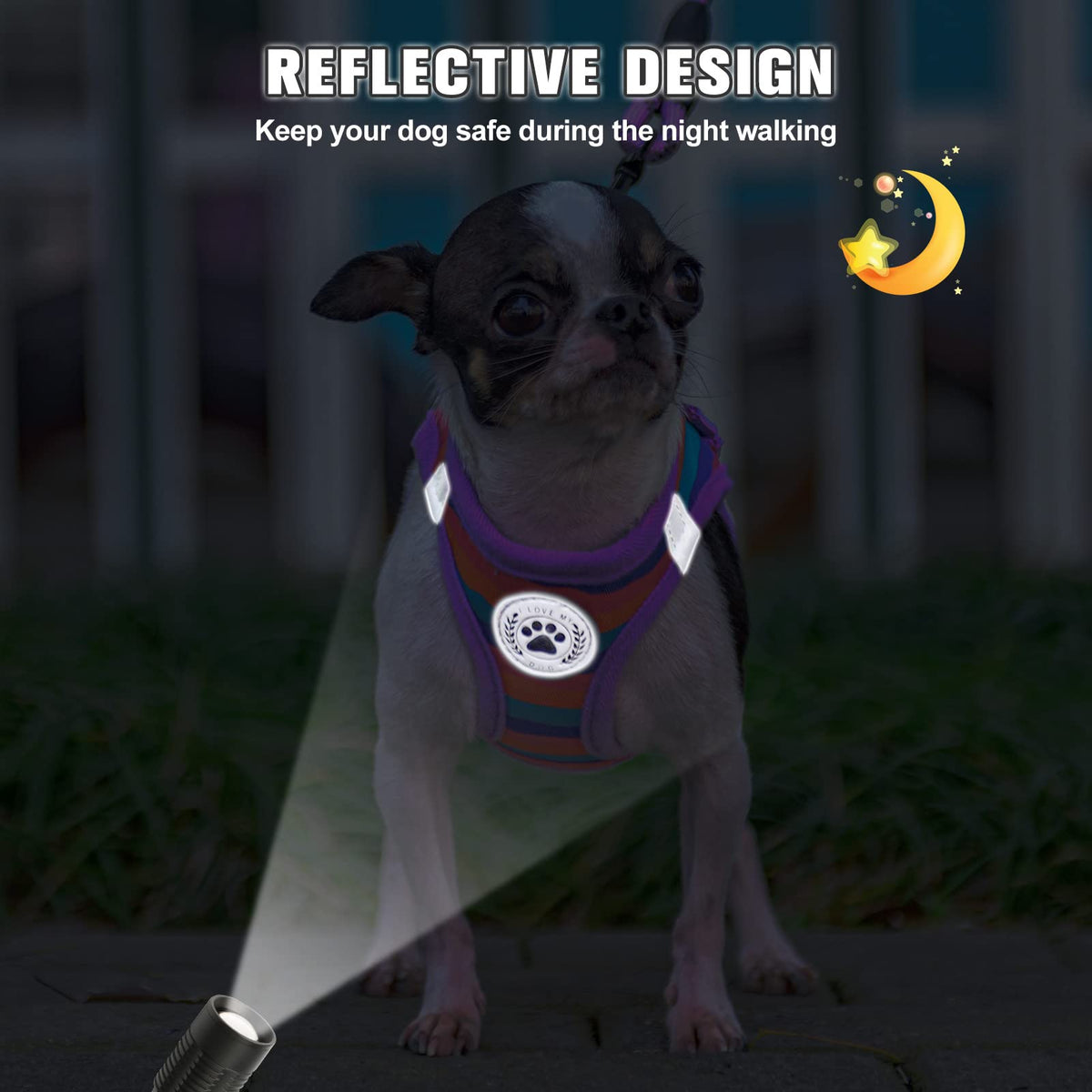 Small Dog Harness and Leash Set (XX-Small(Chest Girth 11.5"-13") / Purple_Stripe)