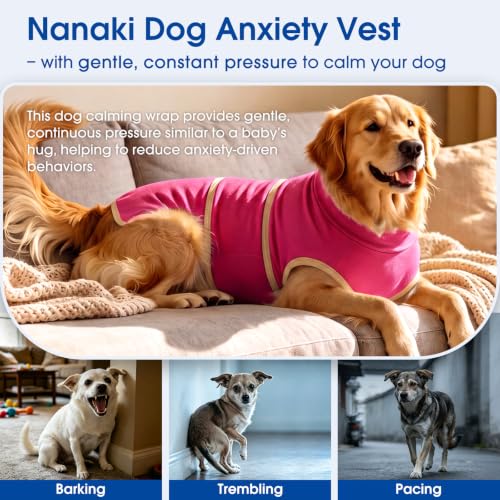 Calming Stress Relief Dog Anxiety Vest Coat that Soothes Puppy (Rosered / Medium(Chest Girth:25.6"))