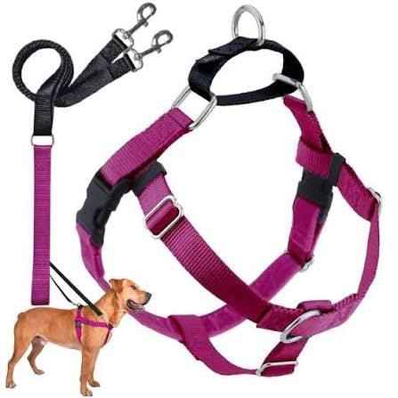 Freedom No Pull 1 Inch Training Leash ONLY Works with No Pull Harnesses Raspberry (Raspberry)