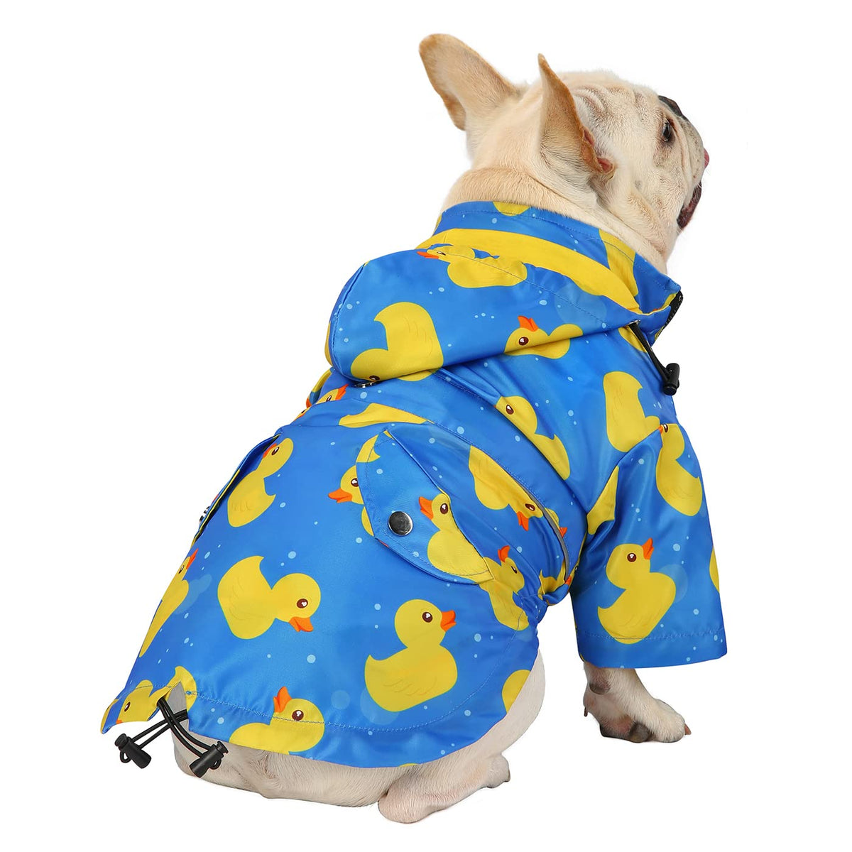 Premium 2 Layer Zip Dog Raincoat Poncho w (Large / Ducks Blue)