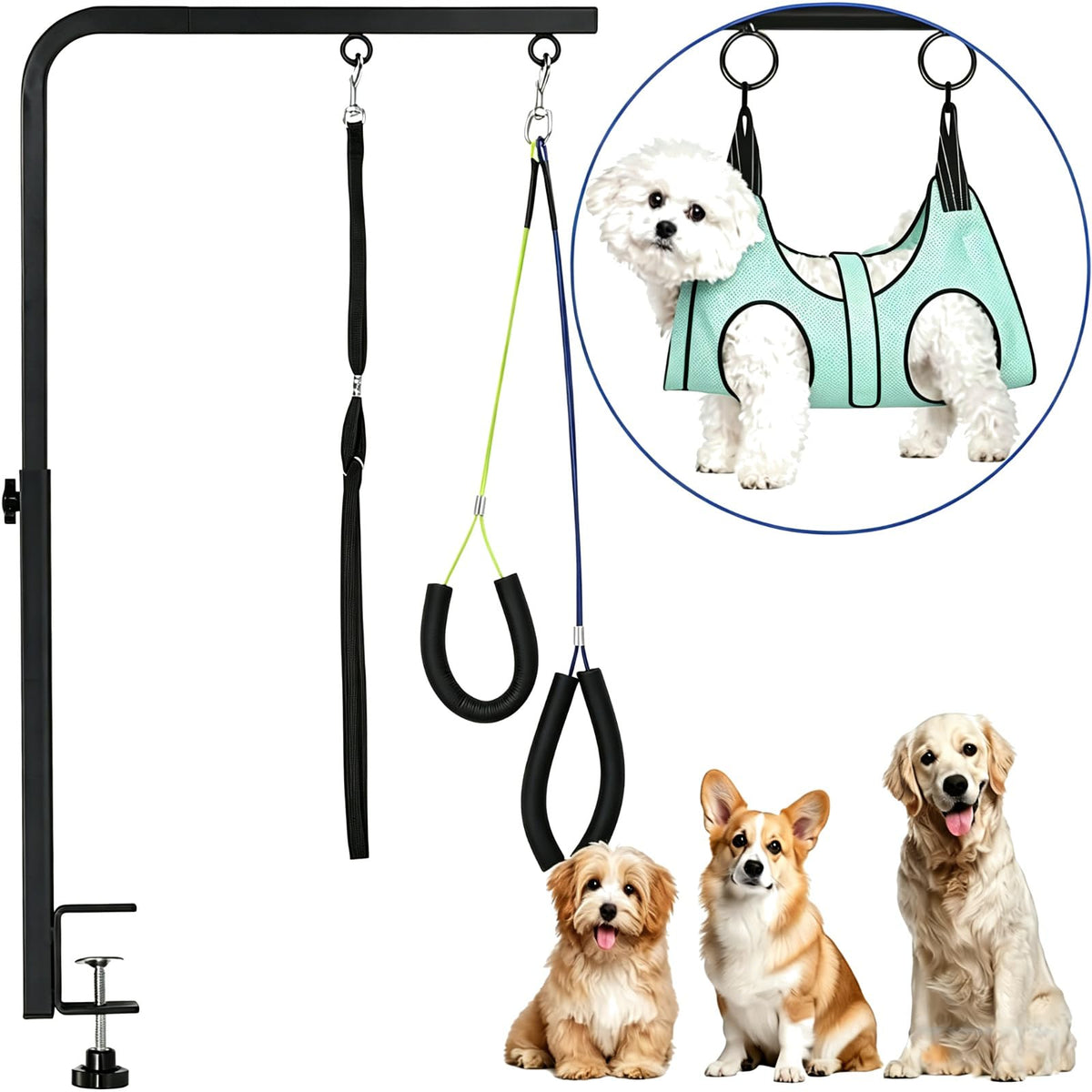 Adjustable Dog Grooming Arm with Heavy (Teal / Small)