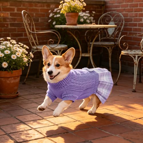 2 Pack Small Dog Sweater Dress with Bowtie Turtleneck (Medium (8-14lbs) / Pink+Purple)