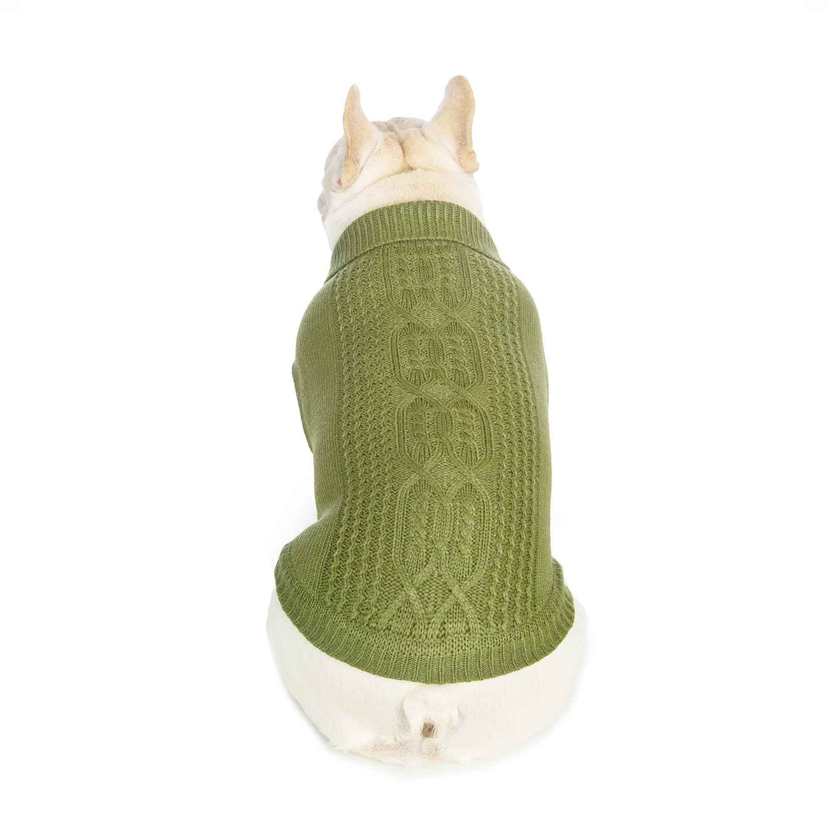 Cat Sweater Stretchy (Olive Green / XXL)