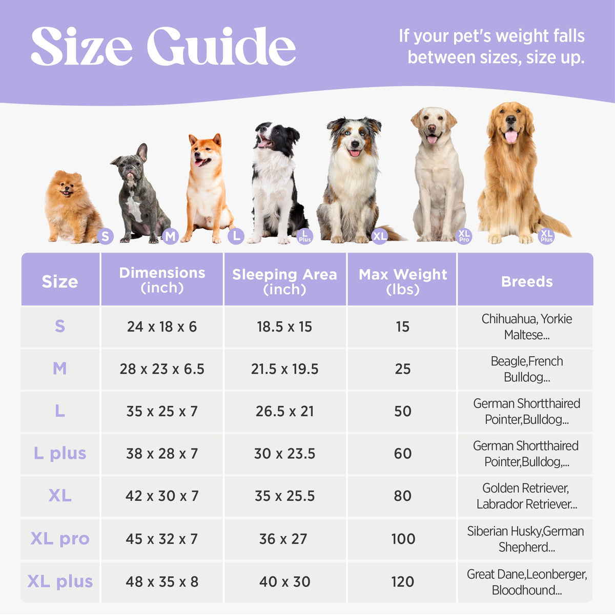 Cute Cozy High Back Orthopedic Small Dog Bed with Sides (24.0"l X 18.0"w X 6.0"th / Blue)