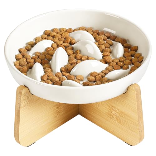 Slow Feeder Cat Bowl Elevated Ceramic with Bamboo Stand (White Fish)