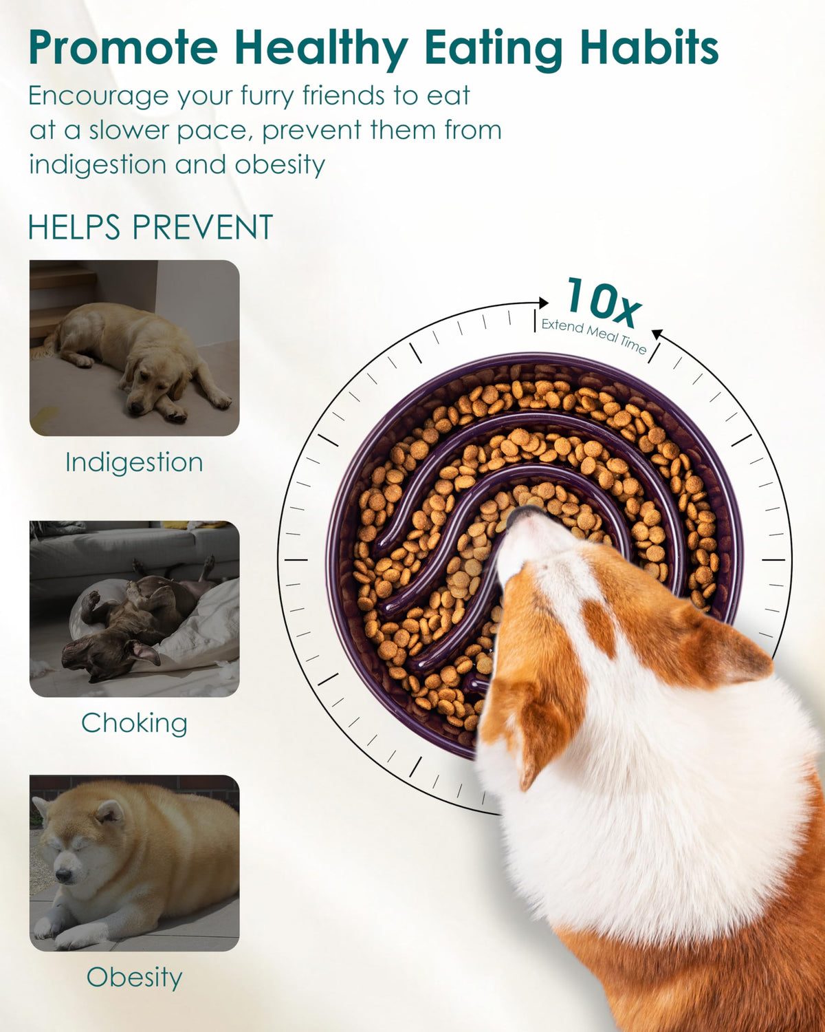 Slow Feeder Dog Bowl (Dark Purple / 1.5 Cups)