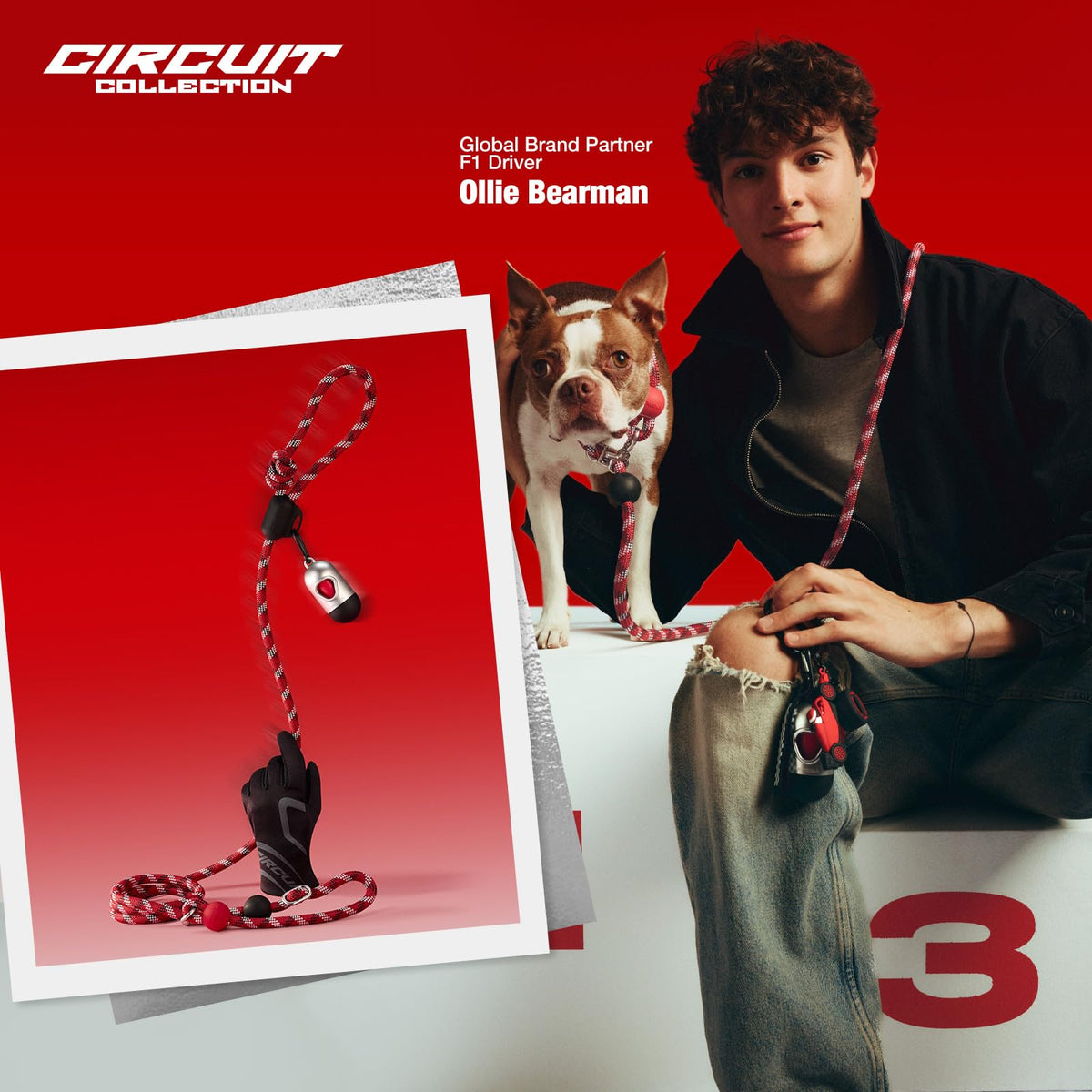 Hands Free Red Dog Leash (Circuit Red)