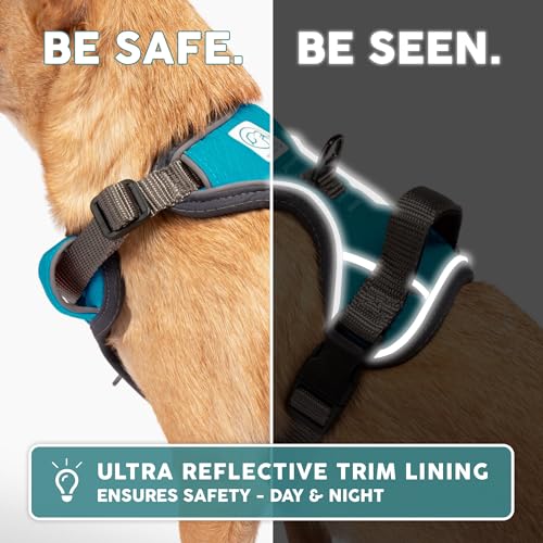 Embark No Pull Dog Harness (XS / Blue)