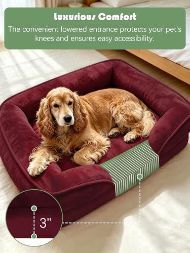 Orthopedic Dog Bed with Sides (35.0"L x 25.0"W x 6.5"Th / Burgundy)