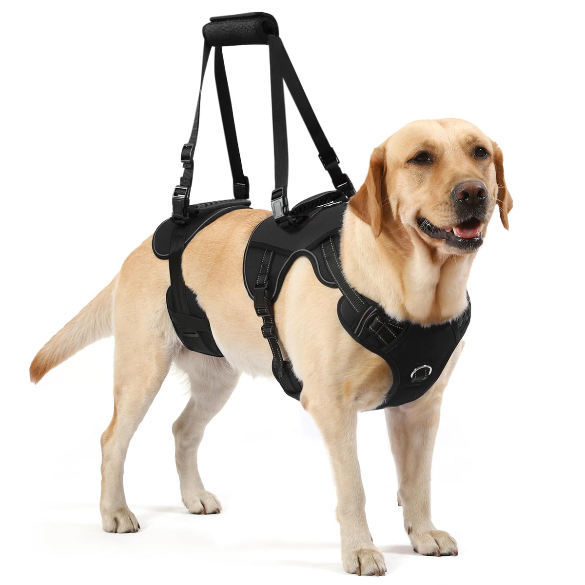 Dog Lift Harness (Black-1 / X-Large)