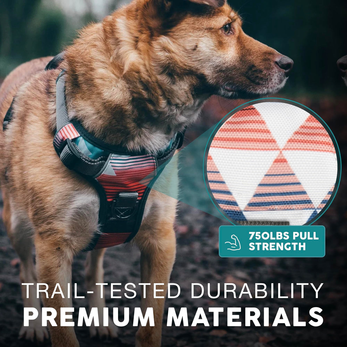 Embark No Pull Dog Harness (XS / Santa Monica)