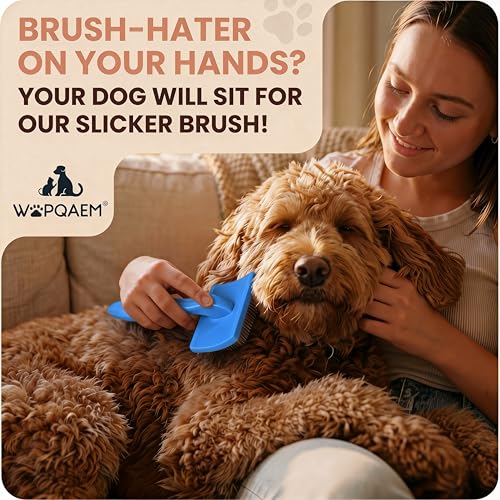 Slicker Brush for Dogs (Blue)