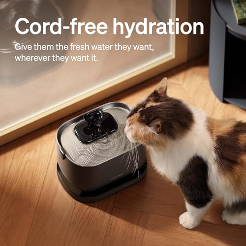 Cat Water Fountain (Black / Cordless fountain)