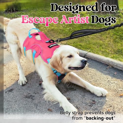 Escape Proof Dog Harness for X (Sky & Peach & Rose / X-Large)