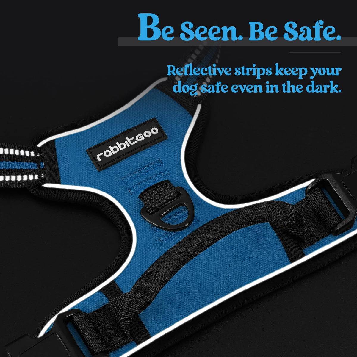 Dog Harness No Pull for Small Dogs with 2 Leash Clips (Small / Blue)