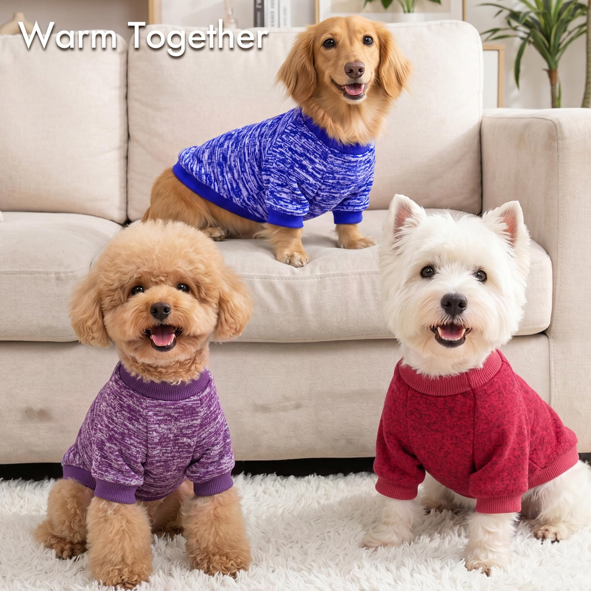3 Pack Dog Sweaters for Small Dogs Girl Boy Winter Fleece Clothes Warm Soft Dog Sweatshirt Outfit for Dogs Cats Pet Apparel (Purple+ Wine Red+Dark Blue / M (Back: 13.7", Chest: 17.7", 10-14 lbs))