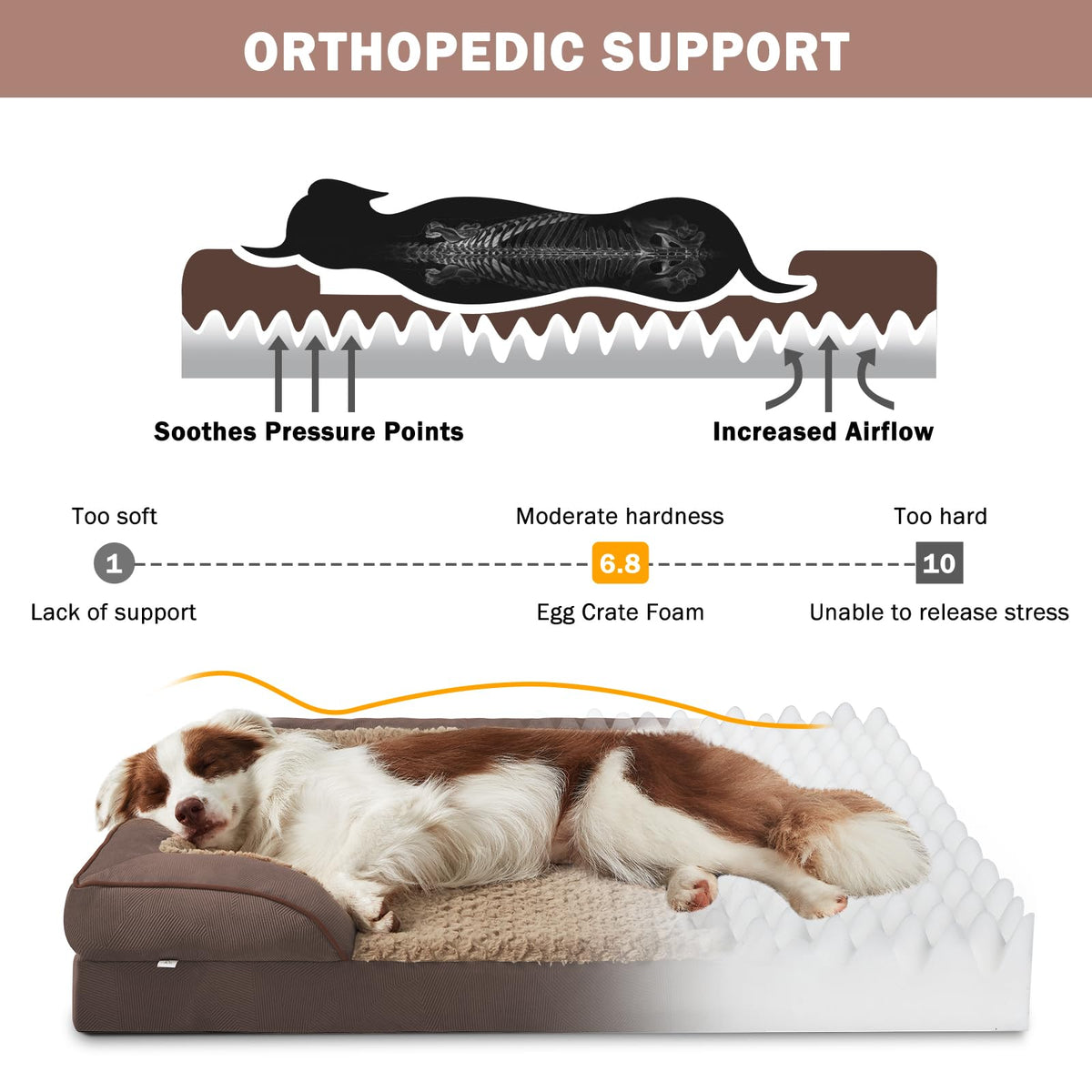 Orthopedic Medium Dog Dogs (Dark Brown / M (28"x 23"x 6.5"))