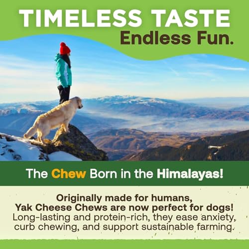 EcoKind Yak Cheese Himalayan Dog Chews