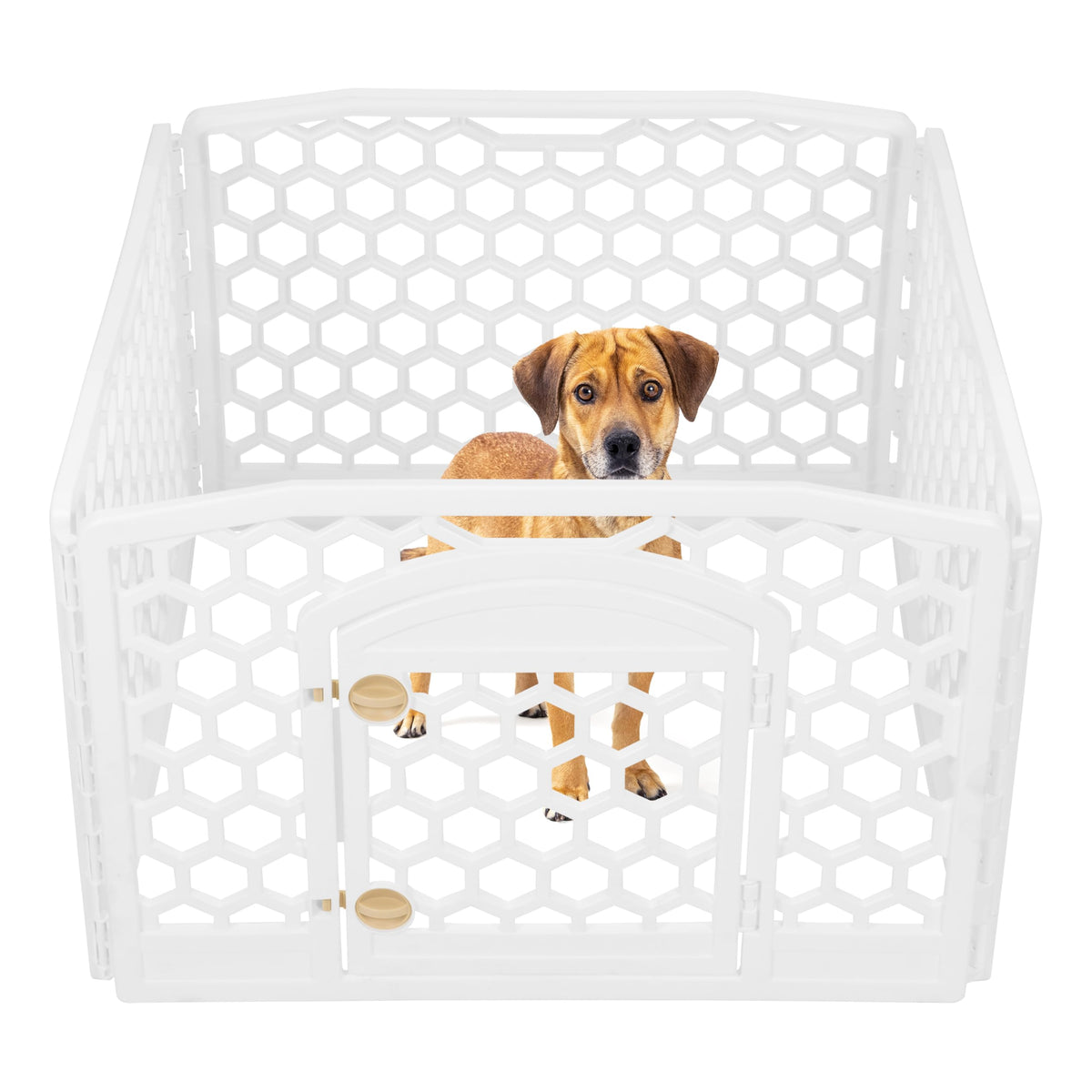 4 Panel Dog Playpen (4 Panel - 24" H / Honey Comb White)