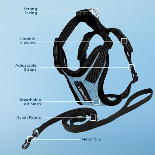 Voyager Step in Lock Cat Harness & Leash Set (Baby Blue/Black Trim / XXS (Chest: 11.5 - 14"))