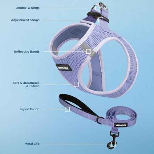 Voyager Step in Air All Weather Mesh Harness and Reflective Dog 5ft Leash Combo with Neoprene Handle (Lavender / S (Chest: 14.5 - 16"))