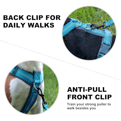 No Pull Dog Harness (M / Cyan)