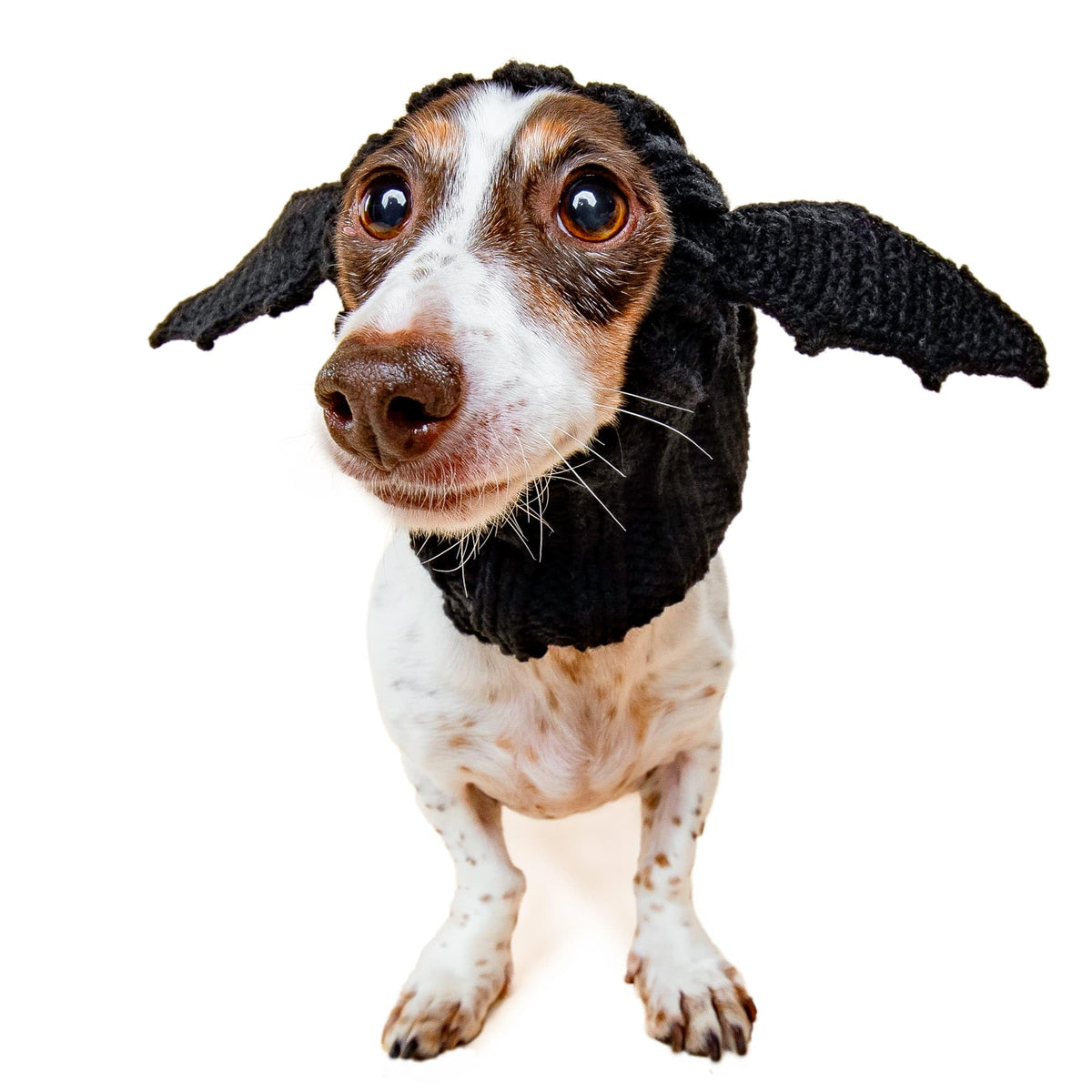 Bat Wing Dog Costume (Bat / Medium)