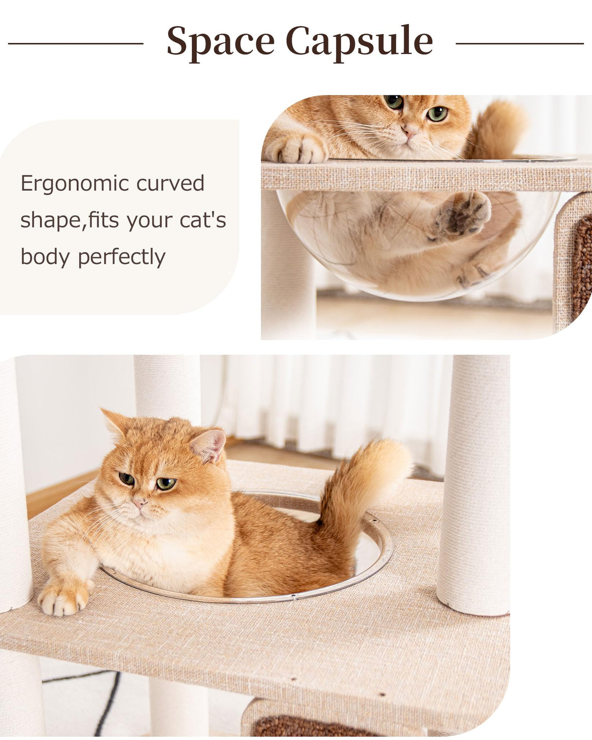 53" Cat Tree Tower for Large Cats (Ivory 53")