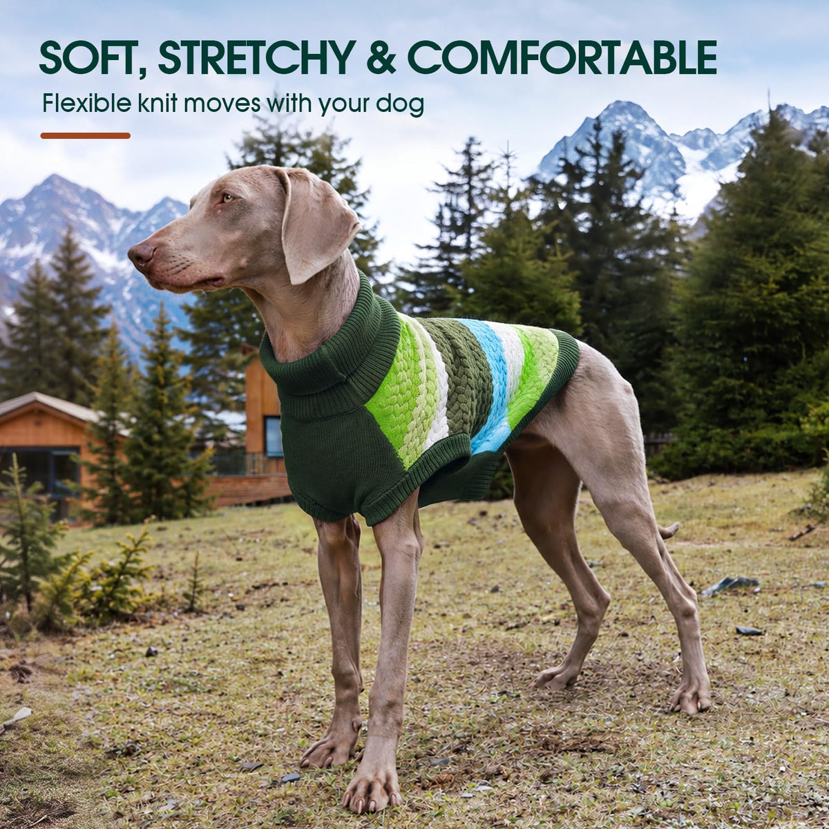 Dog Sweater Warm Sweaters for Small Dogs Pet Xmas Outfit (Small (Chest: 13.7''; Weight: 6 - 9LB) / Green)
