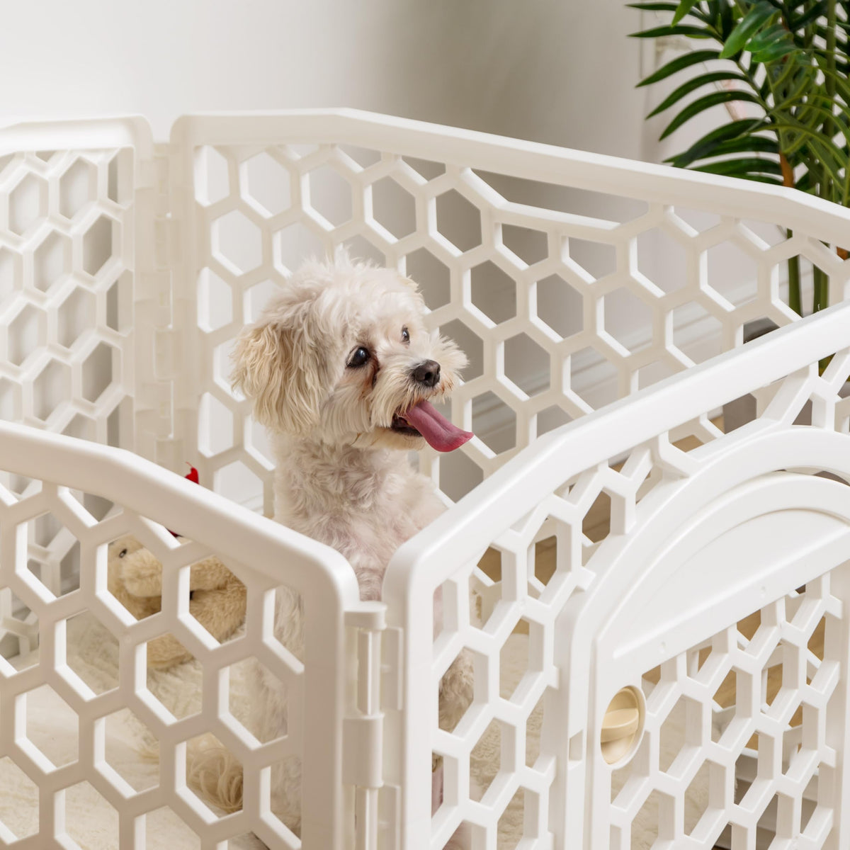 4 Panel Dog Playpen (4 Panel - 24" H / Honey Comb White)
