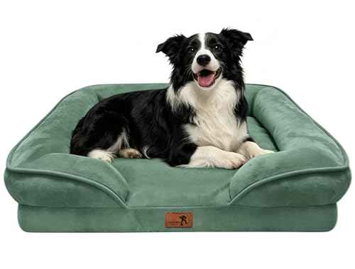 Orthopedic Dog Bed with Sides (35.0"L x 25.0"W x 6.5"Th / Green)