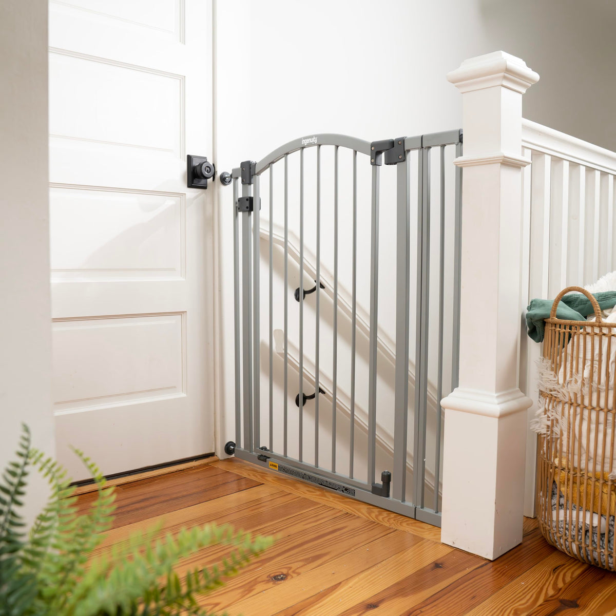 Summer Infant Extra Tall & Wide Safety Pet and Baby Gate (Gray / 53x2x38 Inch (Pack of 1))