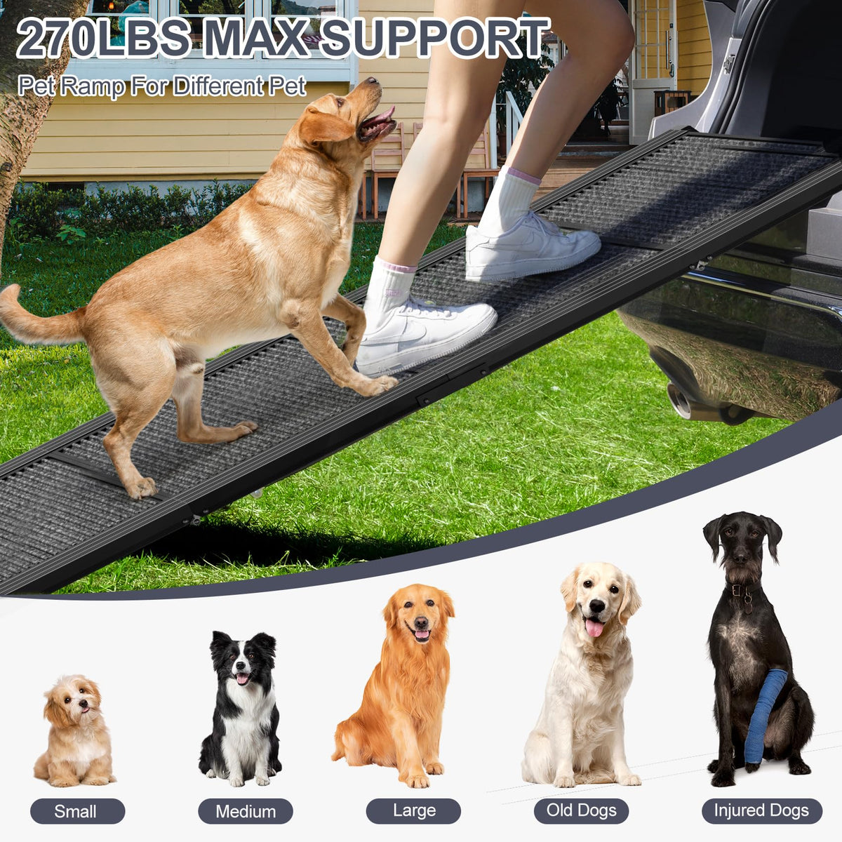 Dog Ramp for Car 71" L × 17.2" W (Upgraded 71" L x 17.2" W)