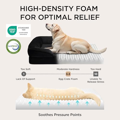 Orthopedic Dog Bed for Large Dogs (Black / 35"l X 25"w X 6.5"th)