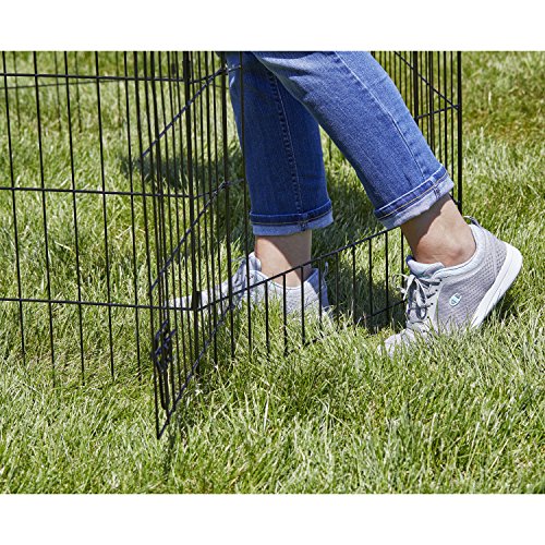 MidWest 24 Inch Exercise Pen (Black w/ Door / 24" H)
