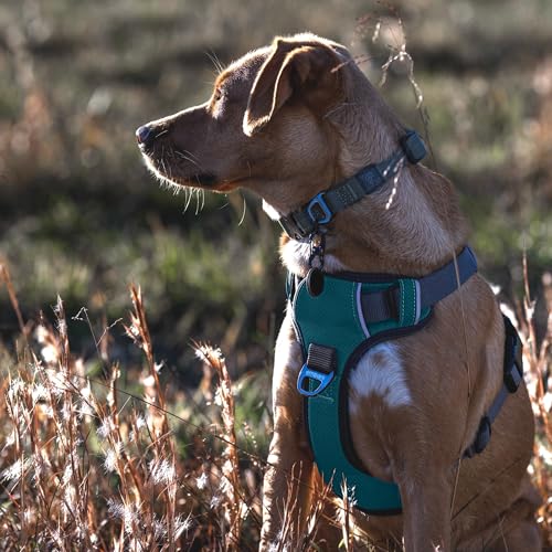 Embark No Pull Dog Harness (XS / Blue)