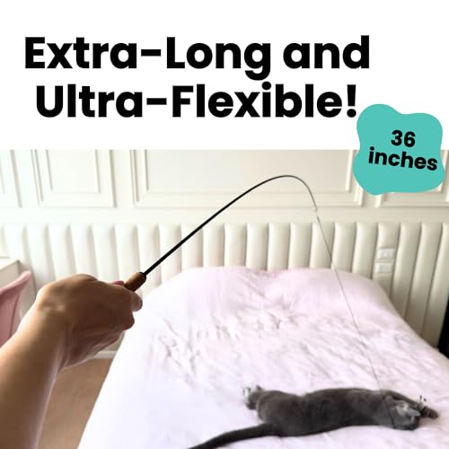 Forever Stick Cat Wand Toy with 9 Feather Refills (Forever Stick and 9 Feather Toys)