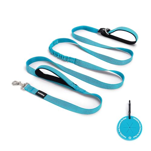 Hands Free Dog Leash (Aqua Blue / Large (8–10FT))