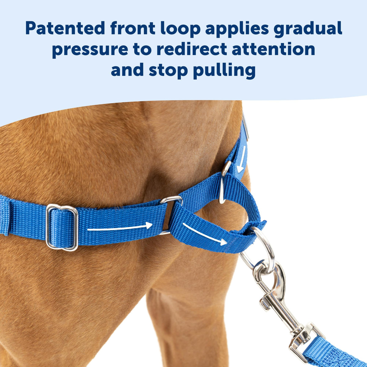 Easy Walk Harness (Large / Royal Blue/Navy)