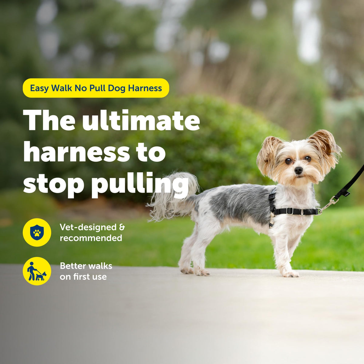 Easy Walk Harness (Petite / Black)