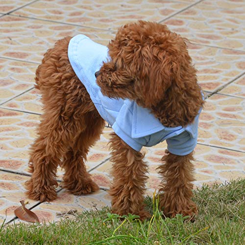 Basic Dog Polo Shirts Premium Cotton (XS (-6lbs) / Sky-Blue)