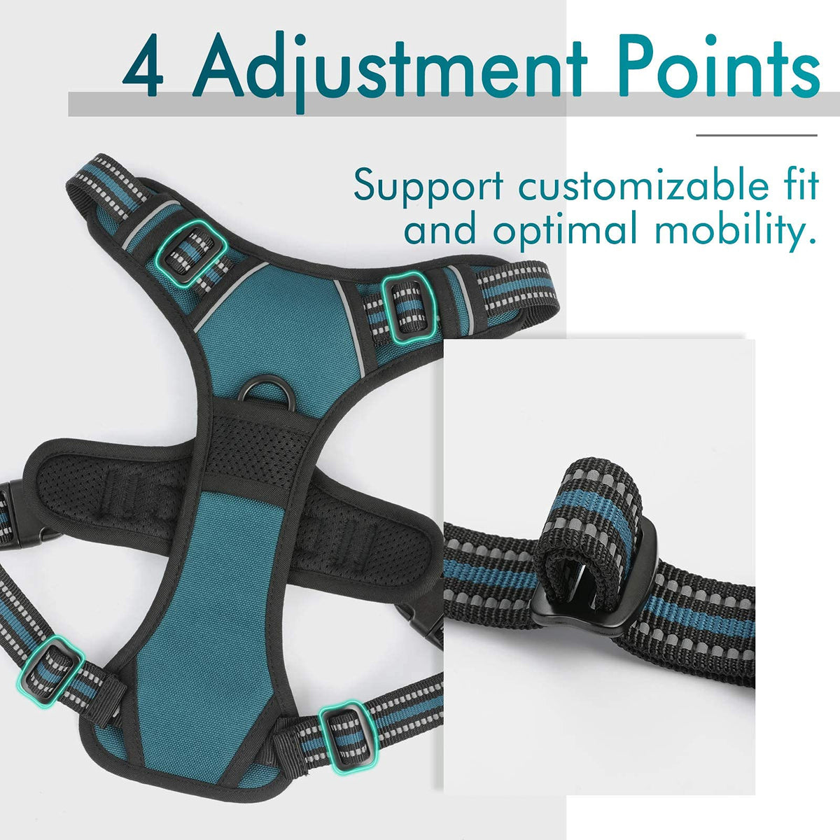 Dog Harness No Pull for Small Dogs with 2 Leash Clips (Small / Blue Coral)