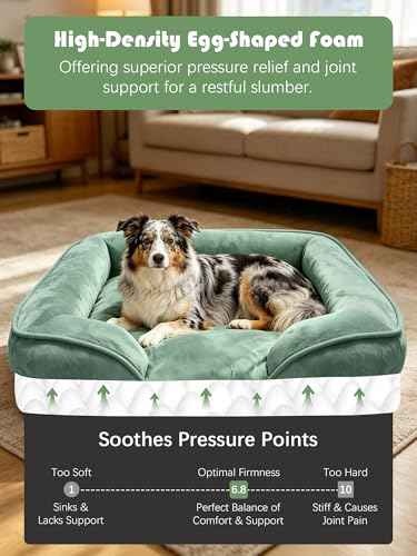 Orthopedic Dog Bed with Sides (35.0"L x 25.0"W x 6.5"Th / Green)