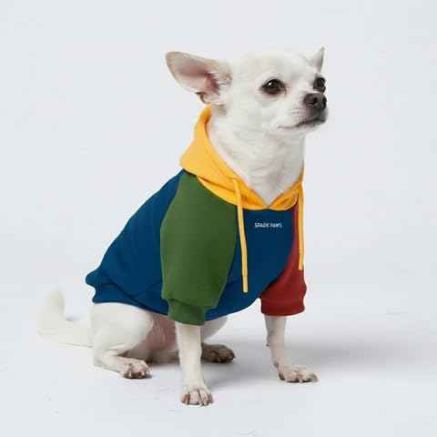 Dog Hoodie Buttery (Primary Color Block / Small)