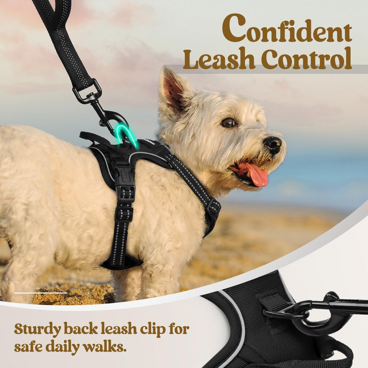 Dog Harness No Pull for Small Dogs with 2 Leash Clips (X-Small / Black)