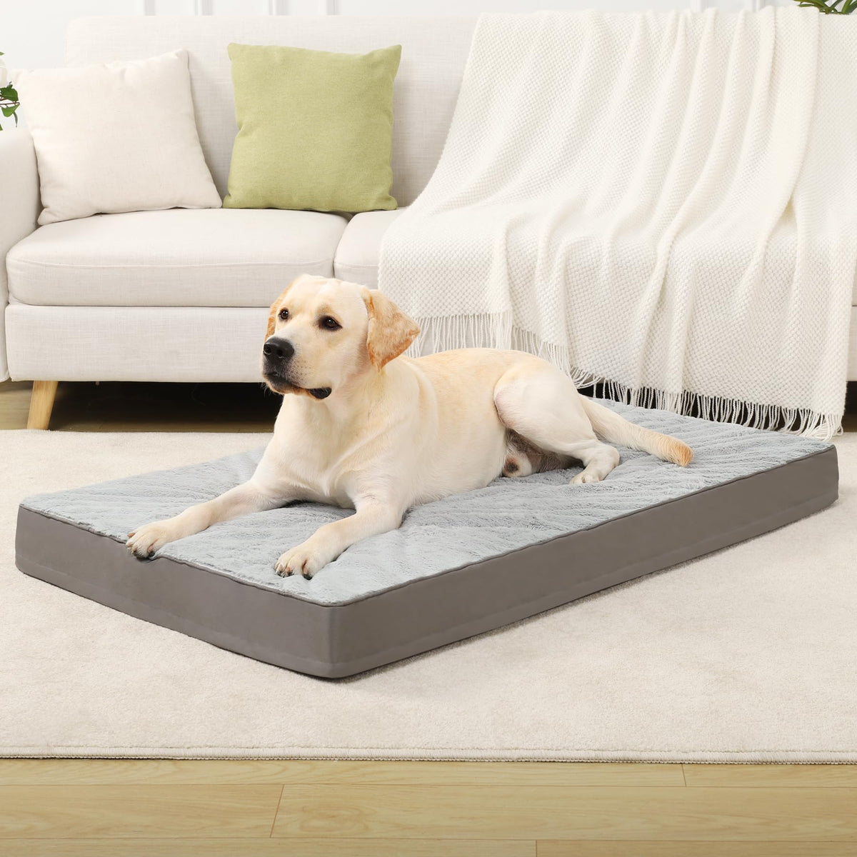 Orthopedic Dog Bed for Extra Large Dogs with Waterproof (Light Grey / 47.0"L x 29.0"W x 4.0"Th)
