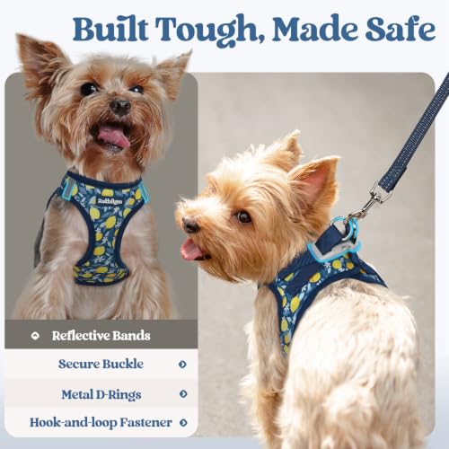 Dog Harness Small Sized and Leash Set (Navy Lemon / Xs (chest: 13.3 - 15.5"))