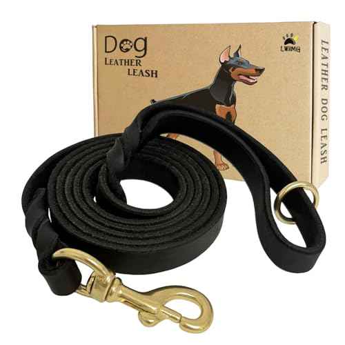 Black Leather Dog Leash 6ft x 5 (6 ft x 5/8 inch / Black)
